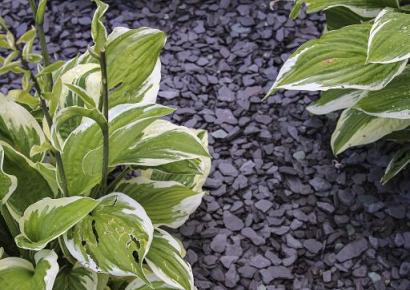 Canadian slate violet 10-30mm 20kg