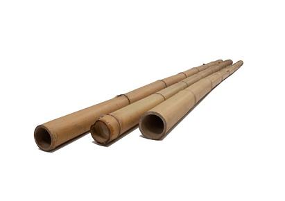 Bamboepaal x 300cm 10-12cm