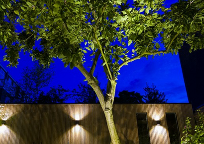 Big scope narrow ww 5w