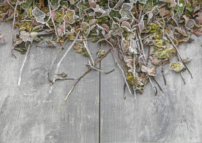 GeoCeramica® 40x80x4cm Timber Grigio