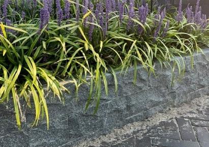 Pirra 12x12x30cm stada