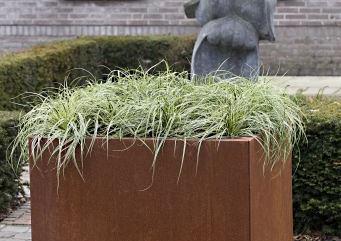 Bloembak vlak - 60x60x40cm corten