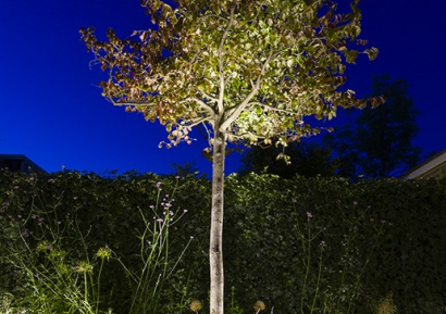 Big flux 60 (without ring)