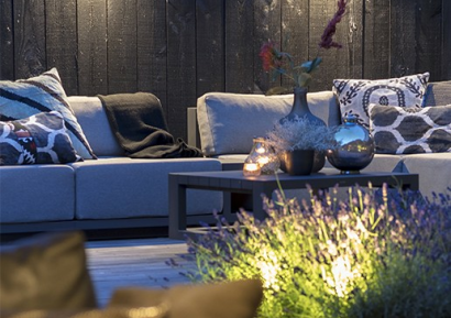 Ace down rose silver