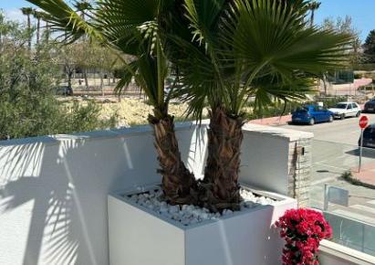 Plantenbak vlak wit 120x60x80cm