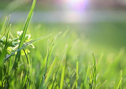 Romfix kunstgraslijm groen 290ml