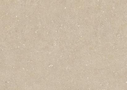 Elite Conchiglia Arena 60x120x2cm