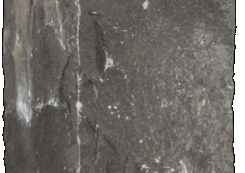 Palissade black pearl basic 12x12x50cm