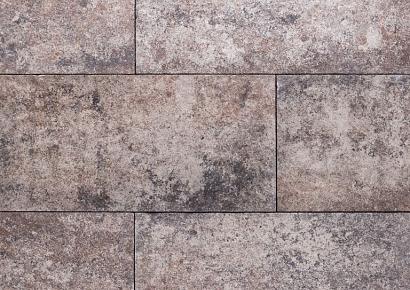 Premiton plus se xxs 40x80x4cm tenerife