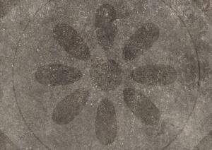 Solostone Hormigon Citrus Antra 70x70x3,2cm