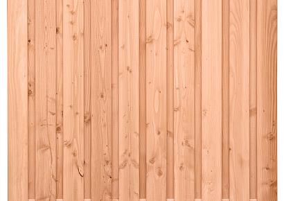 Tuinscherm Zwarte Woud 180x180cm recht douglas 21pl