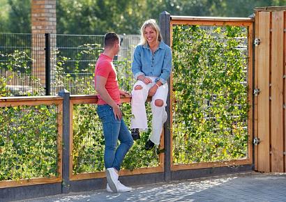 Gaaselement 180x90cm geimp + houten kader 4,5x7cm mw 7,5x7,5cm