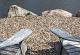 Grauwacke 3-6cm mini bigbag a 500kg