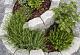 Promo wall kruidenspiraal matterhorn