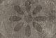Solostone Hormigon Citrus Antra 70x70x3,2cm