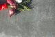 GeoCeramica® 40x80x4cm Cathedrale Antra