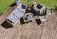 GeoCeramica® 30x120x4cm Timber Noce