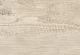 GeoCeramica® 30x120x4cm Carpenter Sand