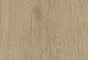 Forest 30x120x2cm ash oak