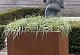 Bloembak vlak - 60x60x40cm corten