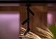 Aim ceiling
