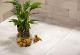 GeoCeramica® 60x60x4cm Motion Shell Beige