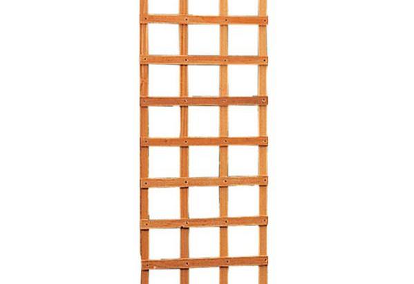 trellis schermen